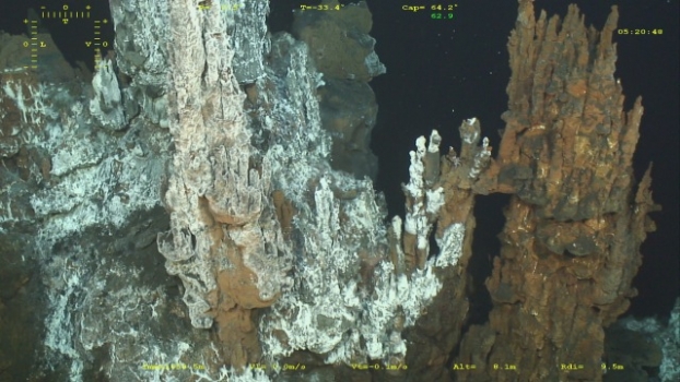 Les surprenantes capacités d’adaptation de la faune des sources hydrothermales profondes