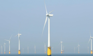 Observatoire national de l’éolien en mer : 5 nouveaux lauréats pour le deuxième appel à projets de recherche lancé par l’OFB