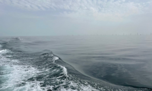 Thèse : VAgues déFerlantes et diffusion ElectroMagnétique à l&rsquo;ENSTA Bretagne