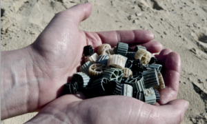 Plastique : l&rsquo;ANEL et Vigipol portent plainte contre X pour l&rsquo;échouage de biomédias sur les côtes bretonnes.