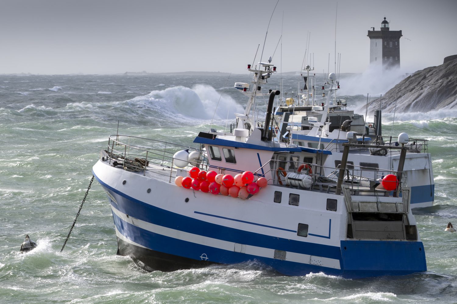 La filière pêche soutenue par l’ANEL et le Cluster Maritime