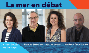 Mise à jour stratégique : les nouvelles synthèses des DSF et la cartographie de l’éolien en mer publiées