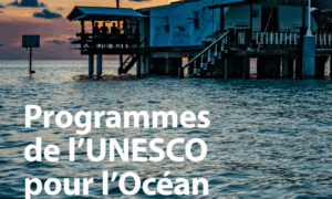 L&rsquo;UNESCO appelle à une mobilisation scientifique sans précédent pour l&rsquo;océan