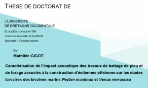 Thèse : Caractérisation de l&rsquo;impact acoustique des travaux de battage de pieu et de forage associés à la construction d&rsquo;éoliennes offshores sur les stades larvaires des bivalves marins Pecten maximus et Venus verrucosa