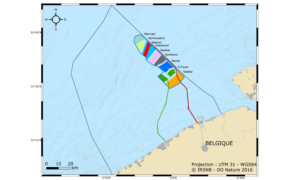 La Belgique a reporté l&rsquo;AO pour le parc éolien offshore dans la zone Princesse Élisabeth à 2026