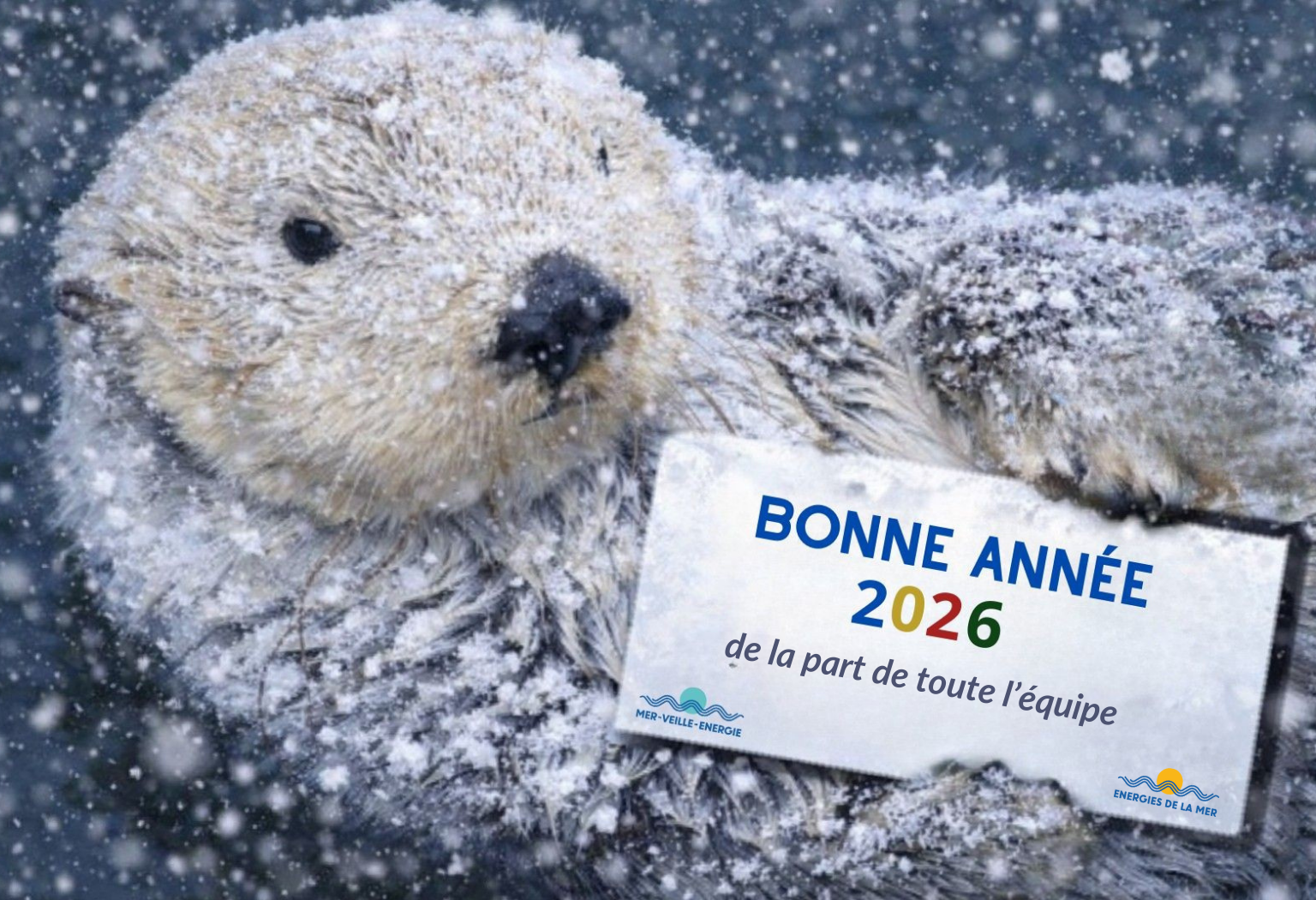 Conseil d&rsquo;Etat : 2e conférence de l&rsquo;Étude annuelle 2026 « la mer et les politiques publiques » « Enjeux écologiques et économiques »
