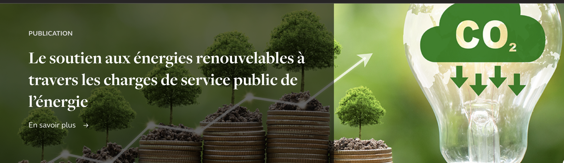 Rapport : La Cour des comptes publie son rapport sur le soutien aux énergies renouvelables