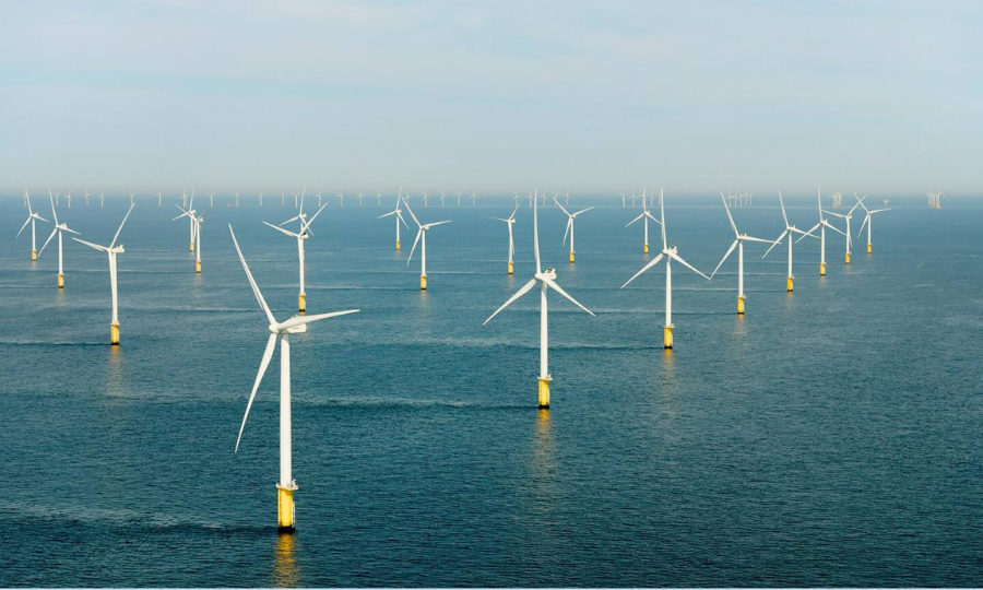 Royaume-Uni : De nouvelles règles de compensation environnementale pour l&rsquo;éolien offshore entrent en vigueur
