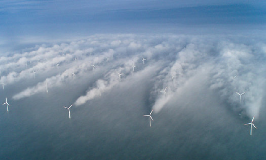 BP et Total veulent freiner le développement de l&rsquo;éolien offshore en Allemagne, invoquant les effets de « sillage »