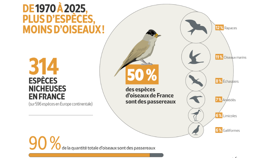 Baromètre de l&rsquo;avifaune 2026  de la LPO : Plus d&rsquo;espèces, mais moins d&rsquo;oiseaux : un marqueur des changements environnementaux