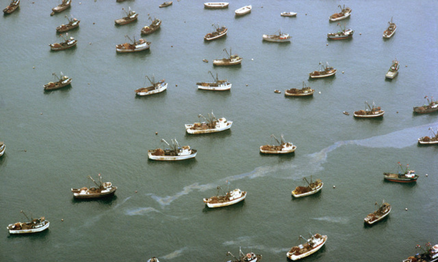 Que représente la pêche et l&rsquo;aquaculture dans le monde ?