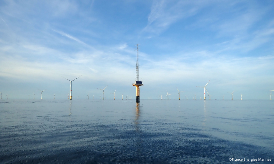 France Energies Marines propose deux postes autour de la biodiversité et un post-doc