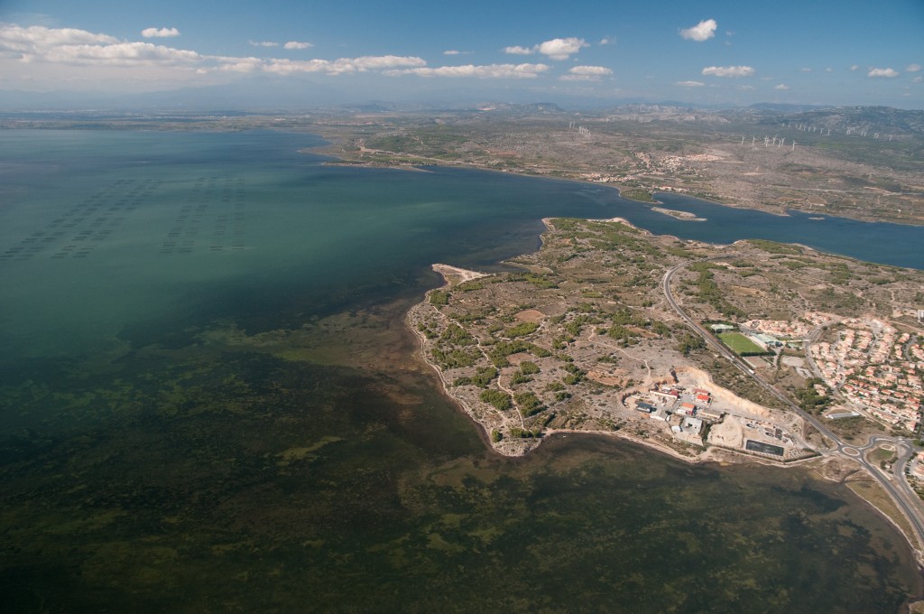 La préservation de la biodiversité locale et le parc éolien flottant EFGL