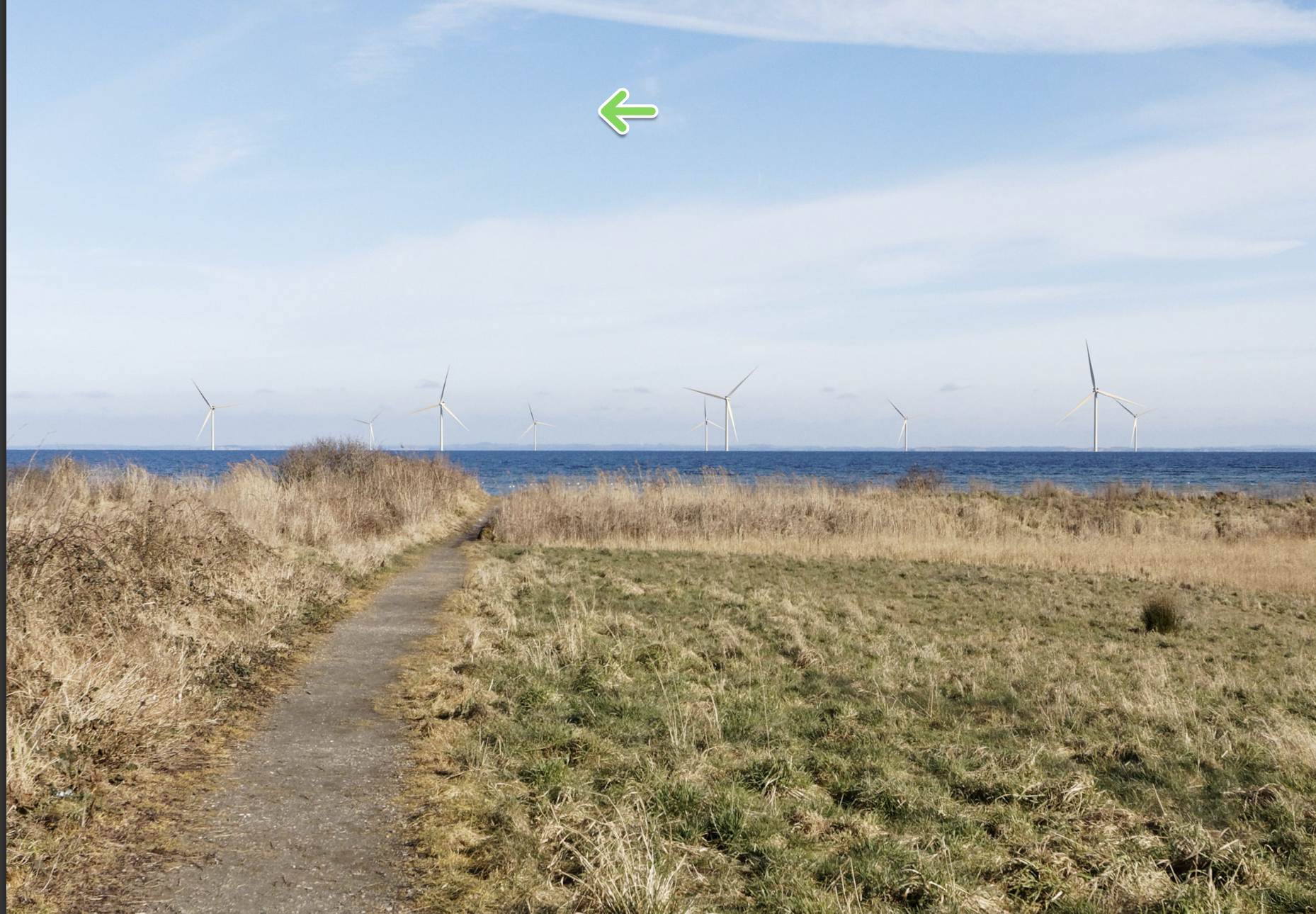 TotalEnergies quitte Lillebaelt Syd et Sonfor reprend le contrôle du projet éolien offshore de 165 MW